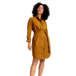 Everlane Modern utility shirtdress